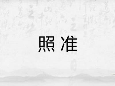 照准