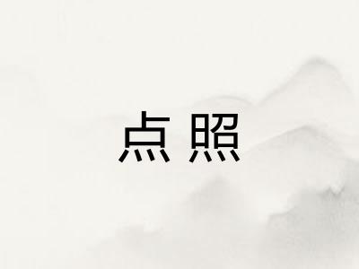 点照