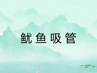 鱿鱼吸管