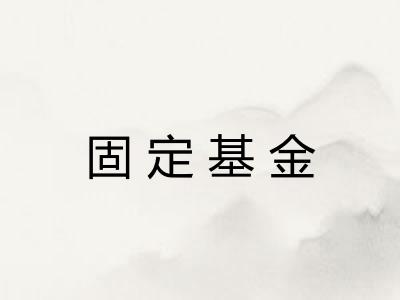 固定基金