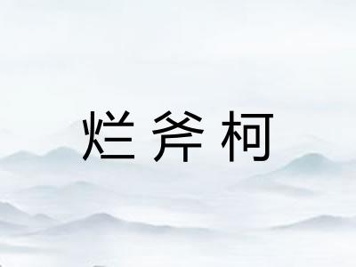 烂斧柯
