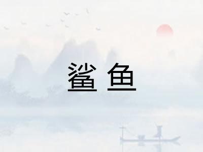 鲨鱼