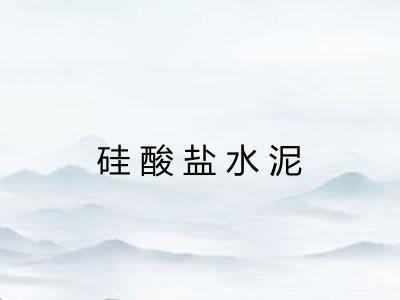 硅酸盐水泥