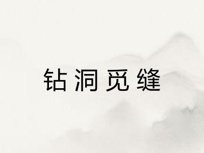 钻洞觅缝