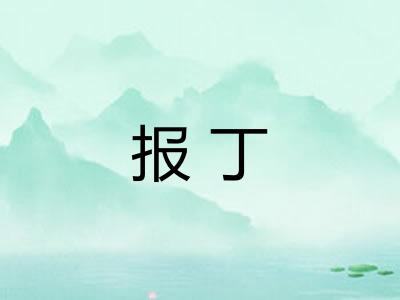 报丁