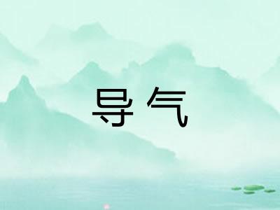 导气