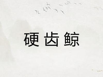 硬齿鲸
