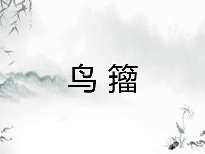 鸟籀