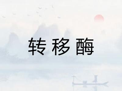 转移酶