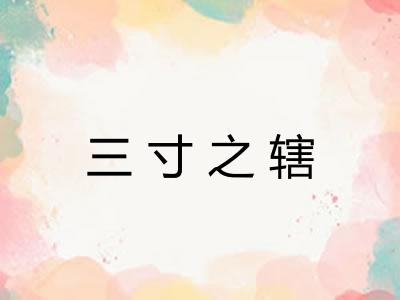 三寸之辖