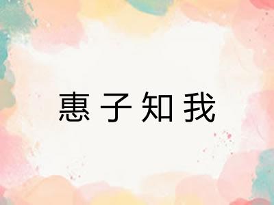 惠子知我