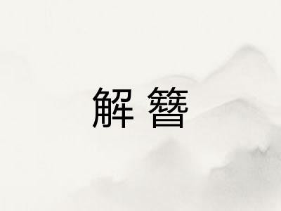 解簪