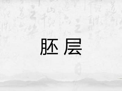 胚层