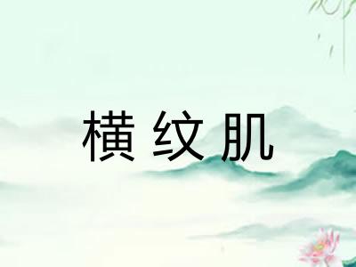 横纹肌