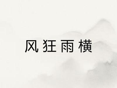 风狂雨横
