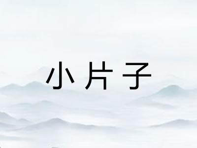 小片子