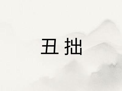 丑拙