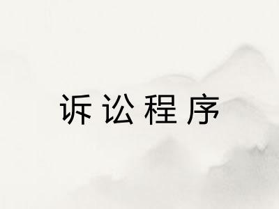 诉讼程序
