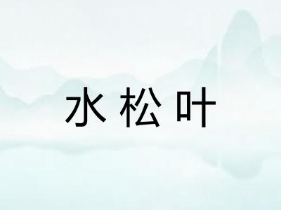 水松叶