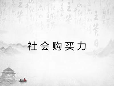社会购买力