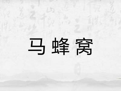 马蜂窝
