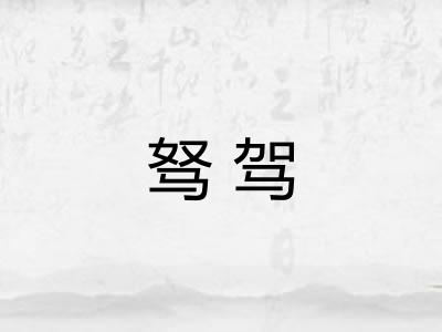 驽驾