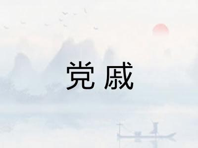 党戚