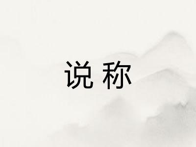 说称
