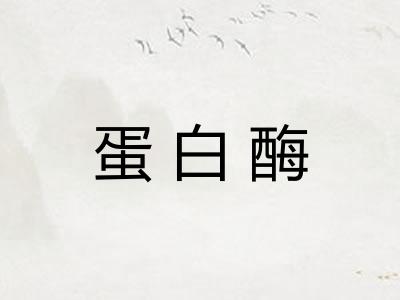 蛋白酶
