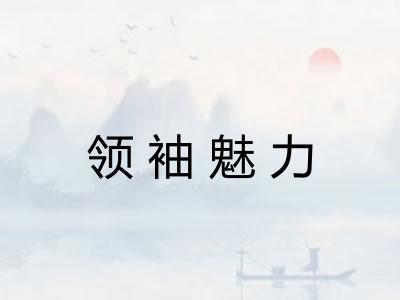 领袖魅力