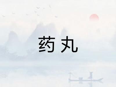 药丸