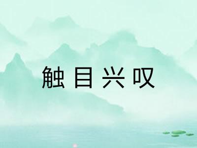 触目兴叹