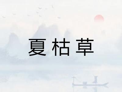 夏枯草