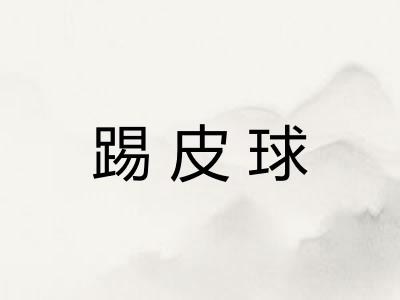 踢皮球