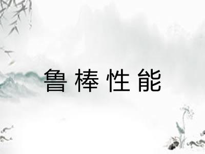 鲁棒性能