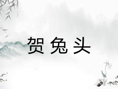贺兔头