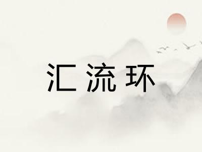 汇流环