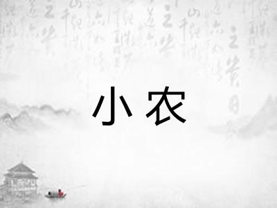 小农