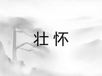 壮怀
