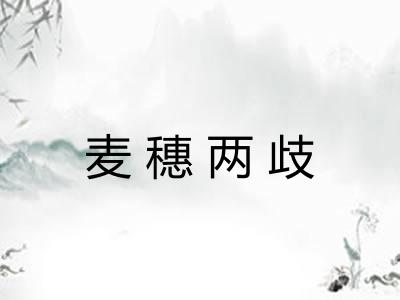 麦穗两歧