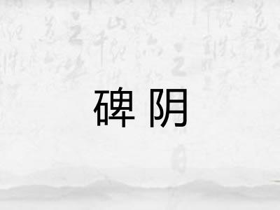 碑阴