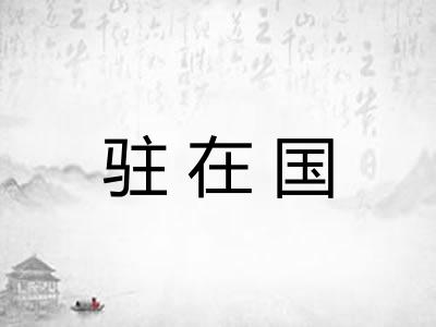 驻在国