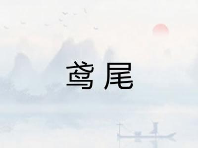 鸢尾