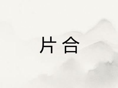 片合