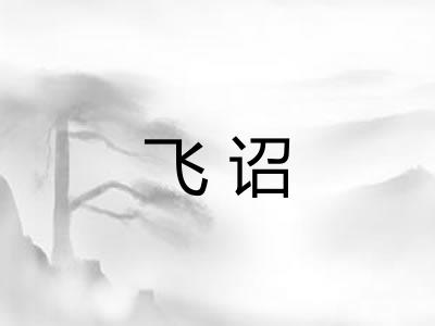 飞诏