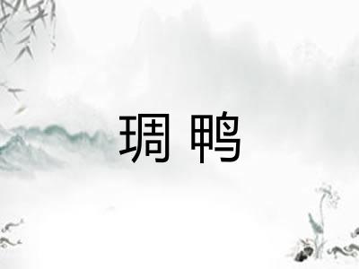 琱鸭