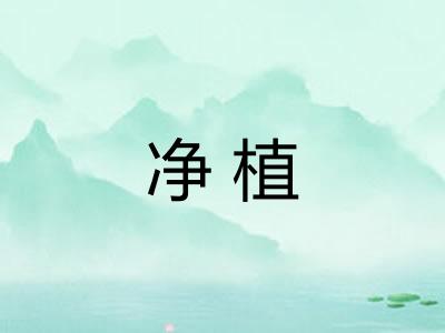 净植