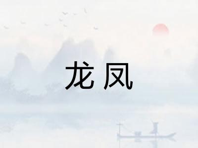 龙凤