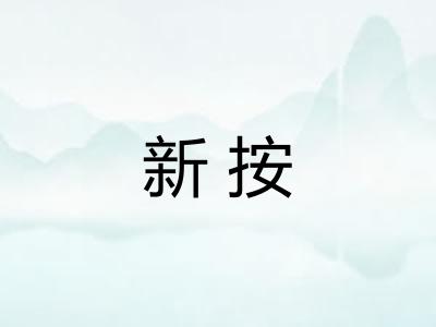 新按