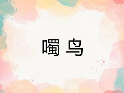 噣鸟